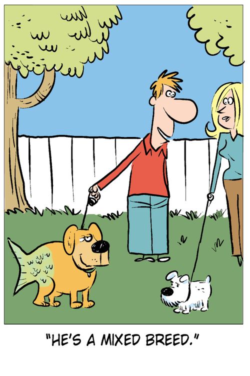 'He's a mixed breed.'