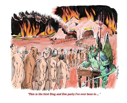 'This is the first Stag and Doe party I've ever been to...'
