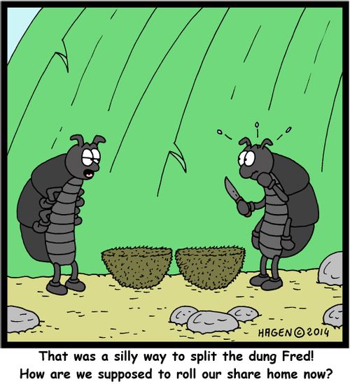 "That was a silly way to split the dung Fred! How are we supposed to roll our share home now?"