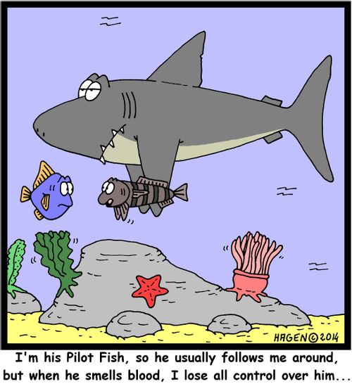 'I'm his Pilot-Fish, so he usually follows me around, but when he smells blood, I lose all control over him...'