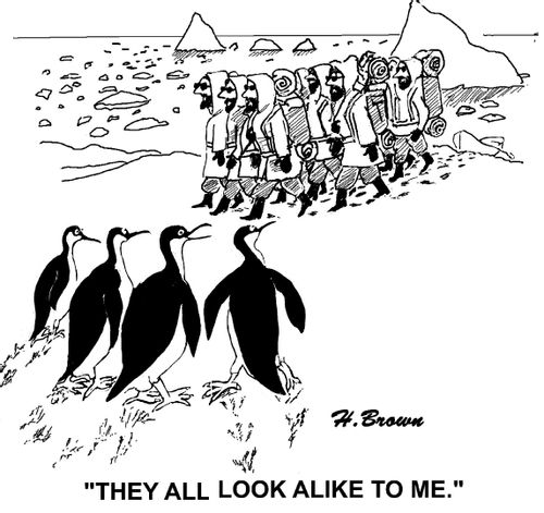 'They all look alike to me.'