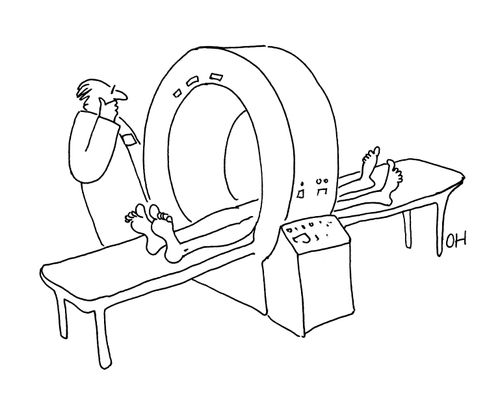 Computer tomography four legs