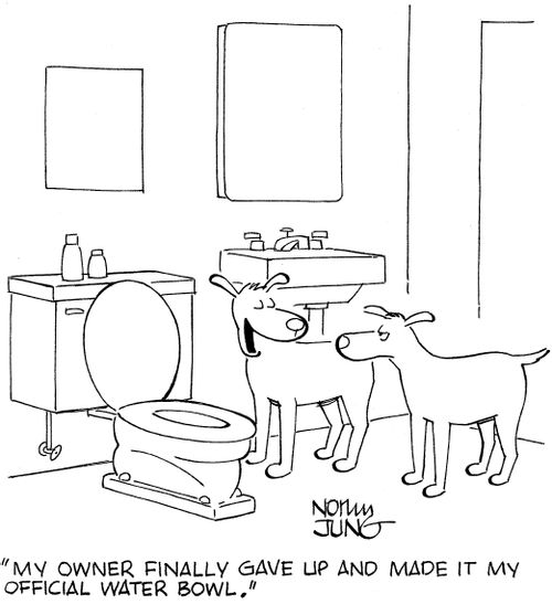 "My owner finally gave up and made it my official water bowl."