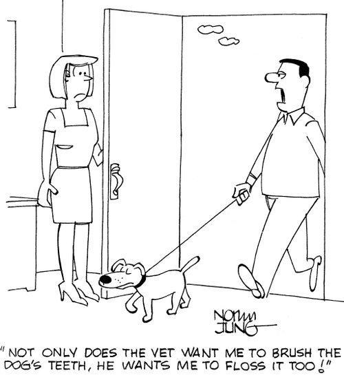 "Not only does the vet want me to brush the dog's teeth, he wants me to floss it too!"