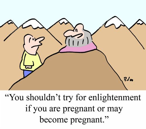 "You shouldn't try for enlightenment if you are pregnant or may become pregnant."