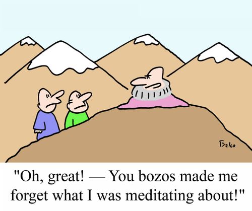"Oh, great! -- You bozos made me forget what I was meditating about!"
