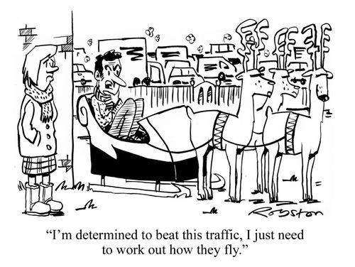 "I'm determined to beat the traffic, I just need to work out how they fly."