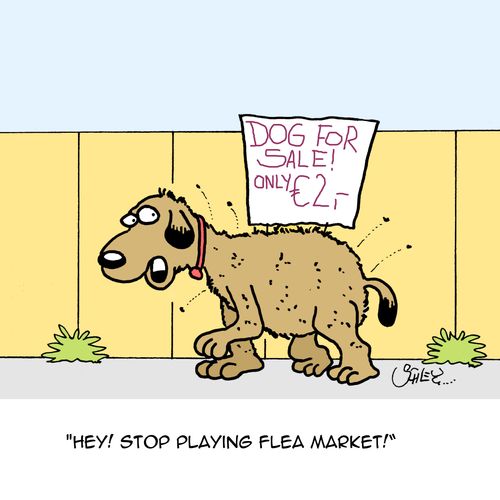 'Hey! Stop playing flea market!'