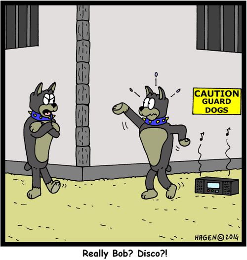 "Really Bob? Disco?!"