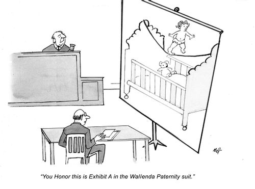 "Your Honor this is Exhibit A in the Wallenda Paternity suit."