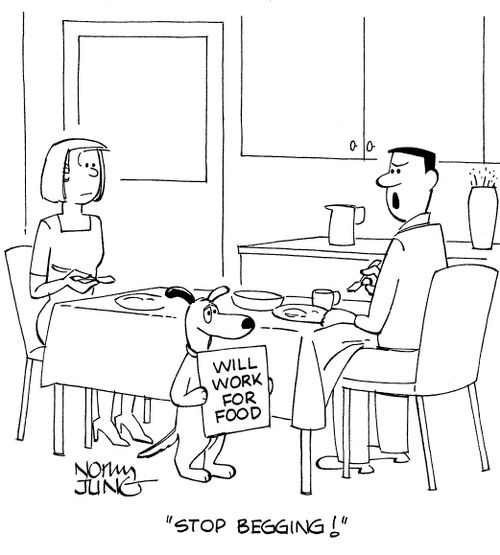 "Stop begging!"
