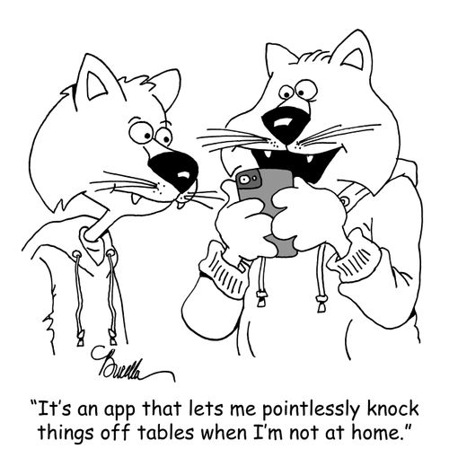 "It's an app that lets me pointlessly knock things off tables when I'm not at home."