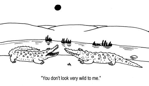 'You don't look very wild to me.'