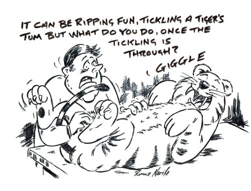 "It can be ripping fun, tickling a tiger's tum but what do you do once the tickling is through?"
