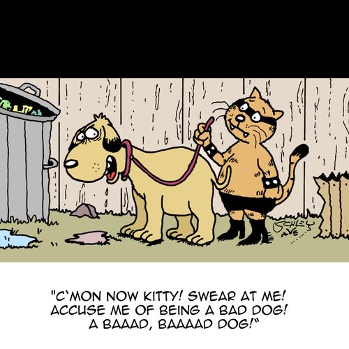 'C'mon now Kitty! Swear at me! Accuse me of being a bad dog!'
