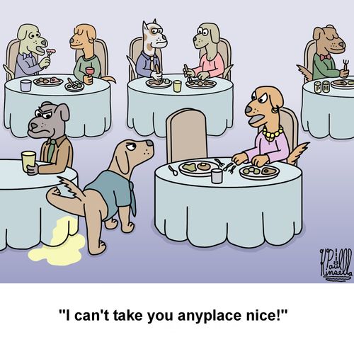 "I can't take you anyplace nice!"