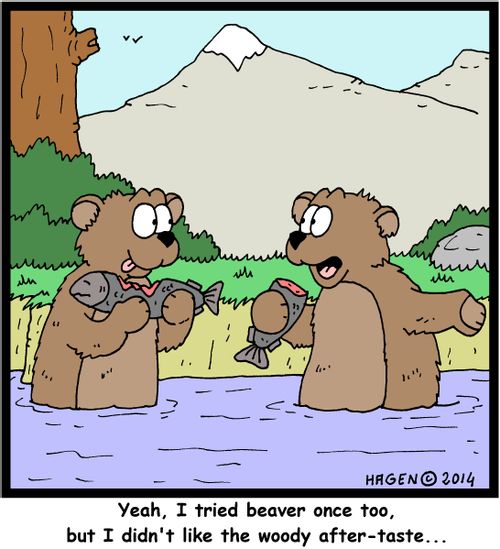 "Yeah, I tried beaver once too, but I didn't like the woody after-taste..."