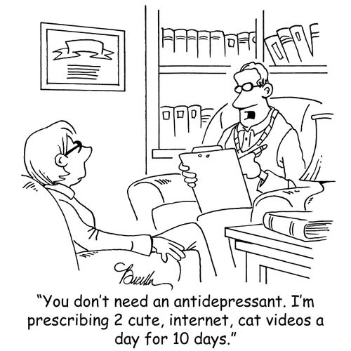 "You don't need an antidepressant. I'm prescribing 2 cute, internet, cat videos a day for 10 days."