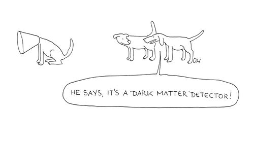 'He says, it's a dark matter detector!'