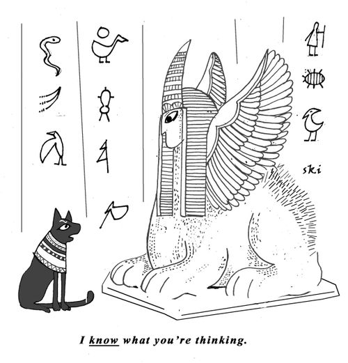 'I know what you're thinking.'