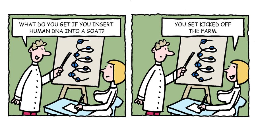 "What do you get if you insert human DNA into a goat?"