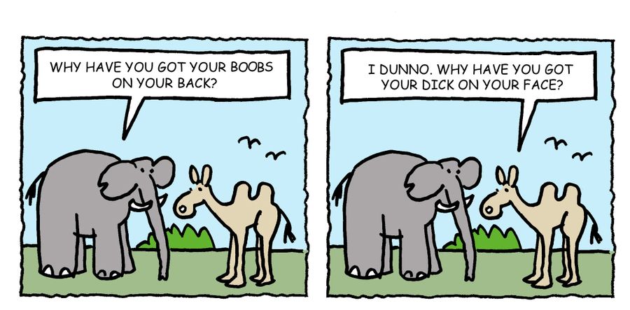"Why have you got your boobs on your back?"