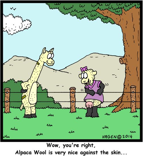 "Wow, you're right, Alpaca Wool is very nice against the skin..."