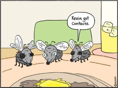 "Kevin got contacts."