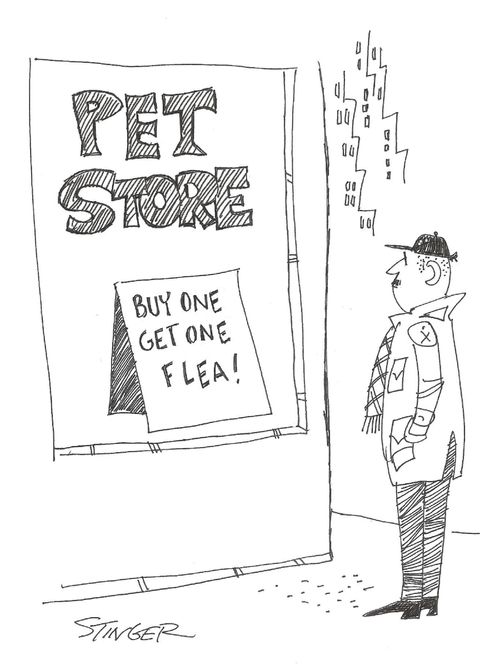 Pet Store: Buy one get one flea!