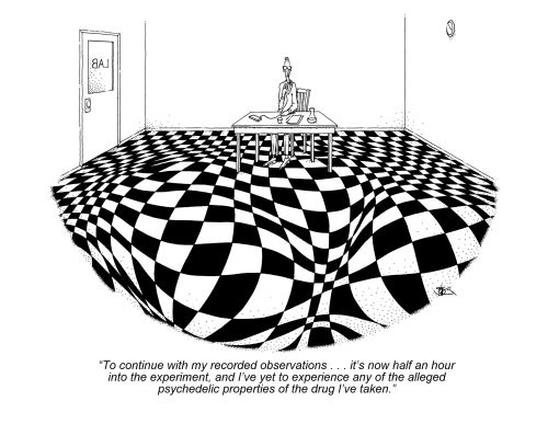 "To continue with my recorded observations . . ."