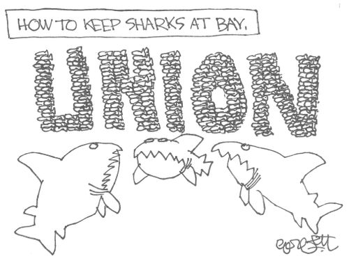 How to keep sharks at bay: UNION.