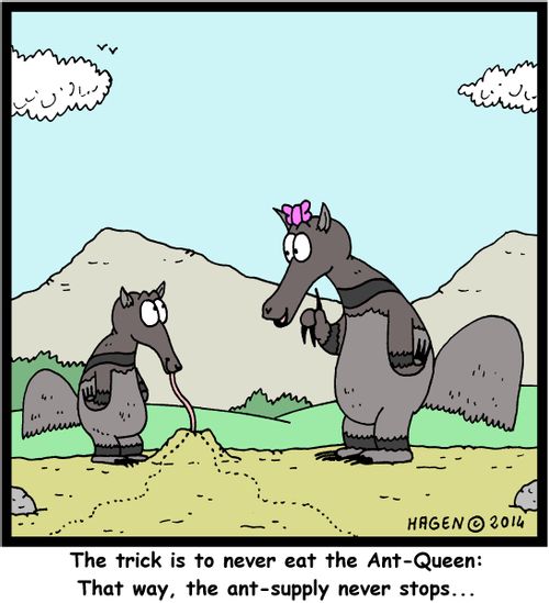 "The trick is to never eat the Ant-Queen: That way, the ant-supply never stops..."