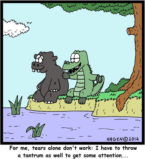 "For me, tears alone don't work: I have to throw a tantrum as well to get some attention..."
