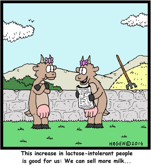 "This increase in lactose-intolerant people is good for us: We can sell more milk..."