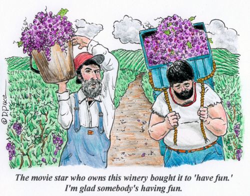 "The movie star who owns this winery bought it to 'have fun.' I'm glad somebody's having fun."