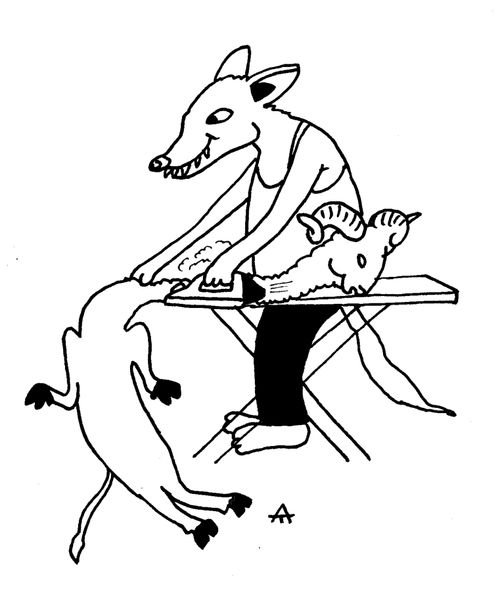 Wolf ironing his sheep skin
