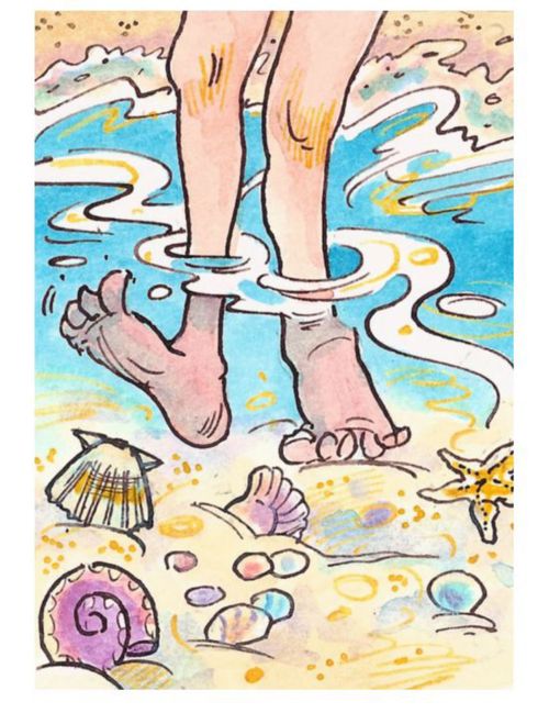 Feeling for shells