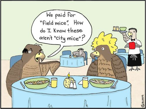 "We paid for 'field mice'. How do I know these aren't 'city mice'?"