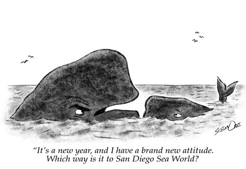 "It's a new year, and I have a brand new attitude. Which way is it to San Diego Sea World?"