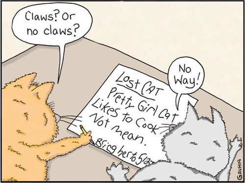 "Claws? Or no claws?"