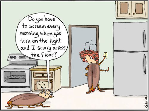 "Do you have to scream every morning when you turn on the light and I scurry across the floor?"