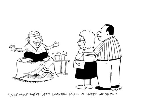 "Just what we've been looking for...a happy medium."