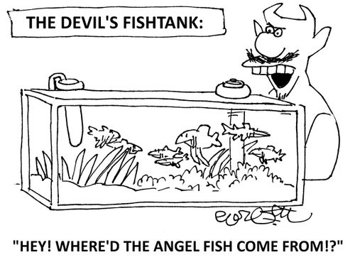 "Hey!  Where'd the Angel Fish come from!?"