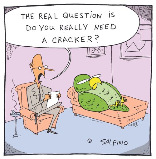 "The real question is do you really need a cracker?"