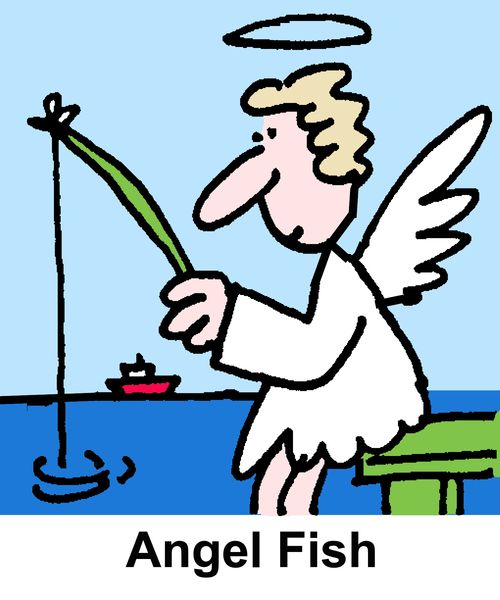 Angel Fish