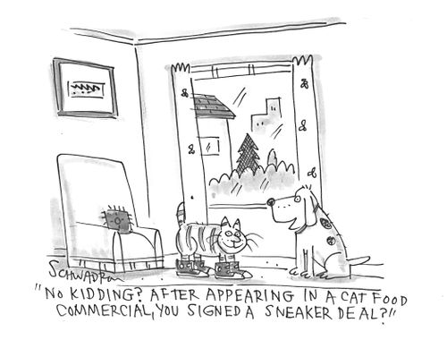 "No kidding? After appearing in a cat food commercial, you signed a sneaker deal?"