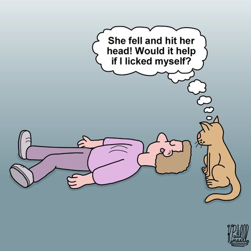 "She fell and hit her head! Would it help if I licked myself?"