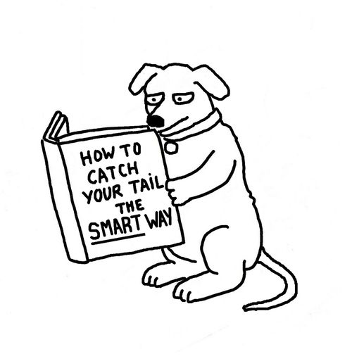 How to catch your tail the smart way