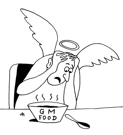 GM food