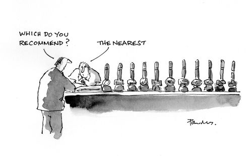 "Which do you recommend?"